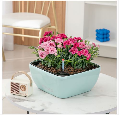Intelligent Flower Pot