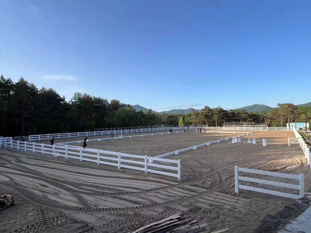 Horse Fence