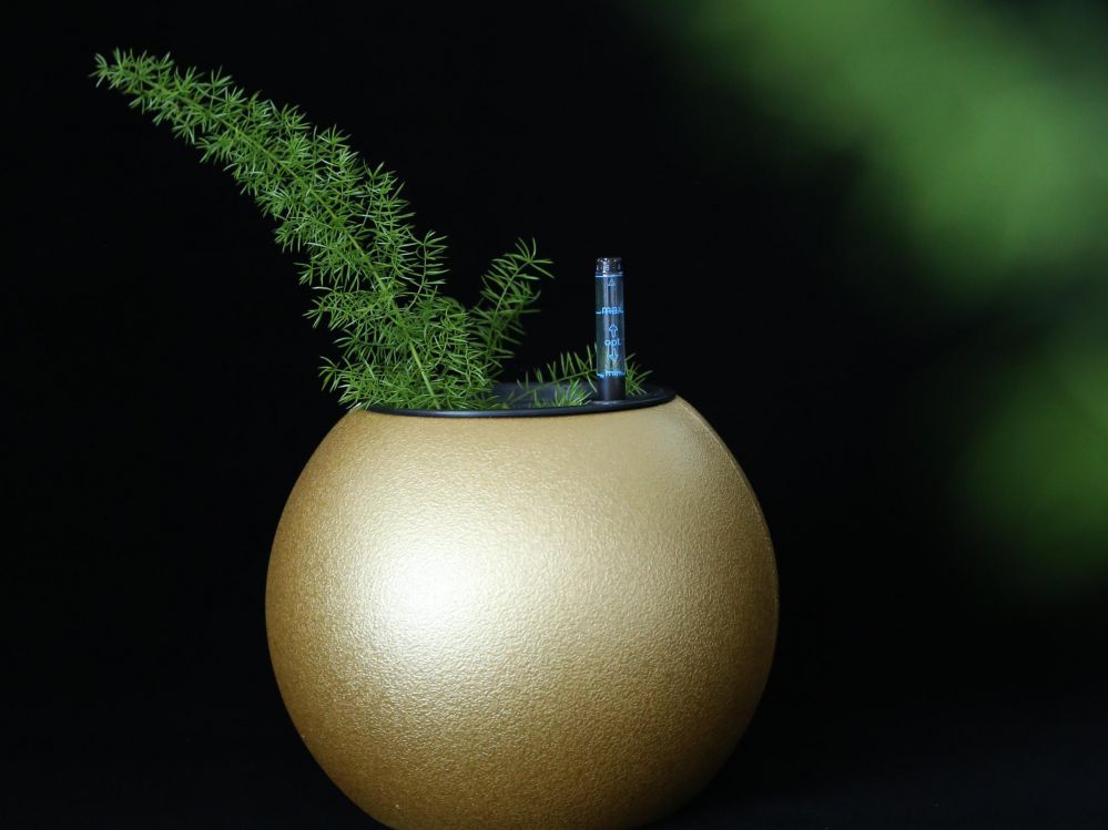 INTELLIGENT FLOWER POT