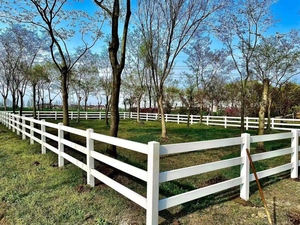 Horse Fence